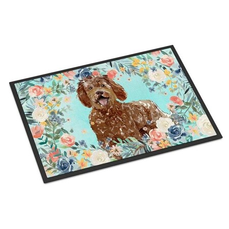 Carolines Treasures Carolines Treasures CK3421MAT 18 x 27 in. Labradoodle Indoor or Outdoor Mat CK3421MAT